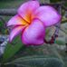 Agnes Ivey - Facebook