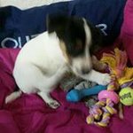 Agnes Jacques Ponty - @didineynaya - Instagram
