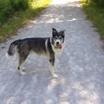Agnes Jarrett - @guinness0826 - Instagram
