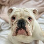 Agnes Jean - @bigappleagnes - Instagram