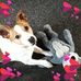 Agnes Johnstone - Facebook