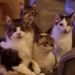 Agnes de Jong - @dejongagnes - Instagram