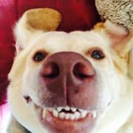 Agnes Joubert - @ledesk10 - Instagram
