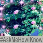 Agnes Joyce - @agnes.joyce.524 - Instagram