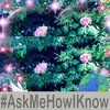 agnesjoyce7 - @agnesjoyce7 - TikTok
