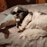 Agnes Juncosa - @agnesjuncosa - Instagram