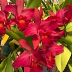 Mary Agnes Kasper - Facebook
