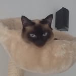 Agnes - @agnes_katze - Instagram