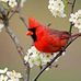 Agnes Keller - Facebook
