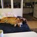 Agnes Kraft - Facebook