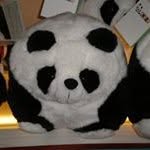 Agnes Kwong - @kwong7839 - Instagram