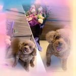 Agnes Kwong - @agnes_kwong1002 - Instagram