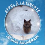 Agnès Lambert - @agnes.lambert.378 - Instagram