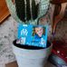 Agnes Lambert - Facebook