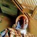 Agnes Lopez - Facebook