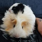 Agnes Mann - @ilona53guthmann - Instagram