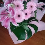 Agnes Marshall - Facebook