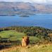 Agnes Mckay - Facebook