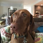 Agnes - @agnes_miller - Instagram