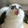 Agnes Miller - @agnes.miller6 - TikTok