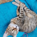 Agnes Mokhtarzadeh - @mokhtarzadehagnes - Instagram