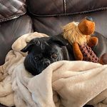Agnes Telfer - @agnestelfer - Instagram