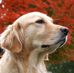 Agnes Thomson - Facebook