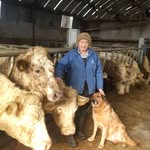 Agnes Todd - @atodd376 - Instagram