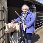 Agnes Todd - @agnes.todd.545 - Instagram