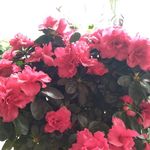 Ágnes Török - @agnes.torok.1297 - Instagram