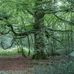 Agnes Townsend - Facebook