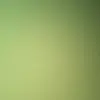 Tracey Agnes - @tracey.agnes - TikTok