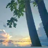 Agnes Tran - @agnes.tran5 - TikTok