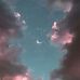 Agnes Tuttle - Facebook