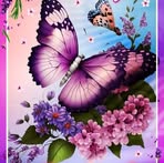 Agnes Ulrich - Facebook