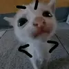 Agnès.Royer - @uptonhofggg - TikTok