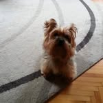 Agnes Varga - @agnes.varga.3994885 - Instagram