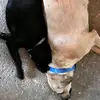 Agnes Vazquez - @agnes.vazquez - TikTok