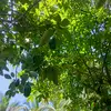 Agnes_Velasco - @agnes_velasco - TikTok