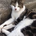 Agnes Petiot Vidal - @agnes.vidalp - Instagram