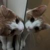 Agnes😇😇 - @agnesalden - TikTok