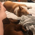 Agnes and Wallace - @agnesandwallace - Instagram