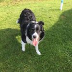 Agnes wallace - @agneswallace80 - Instagram