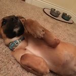 Agnes Daphne Nelms-Walsh - @aggienelmswalsh - Instagram