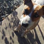 Jaime Agnes walsh - @the_jaimeeawalsh - Instagram