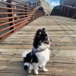 Agnes Walter - @agnes.walter.921 - Instagram