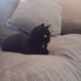 Agnes Ward - Facebook