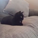 Agnes Ward - @agnesward822 - Instagram