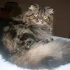 Agnes Garfield - @agnesgarfield - TikTok