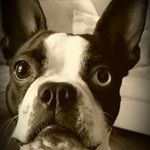 Agnes Warren - @agawaga3 - Instagram